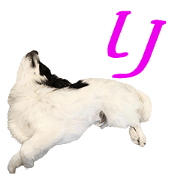 USHIGARACHIWAWANOPU Sticker