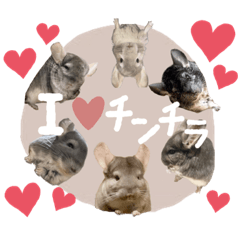 tanuki_20220531181444