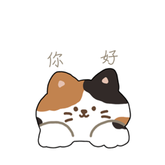 Cute cat two