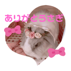 Kchan_20220601073141