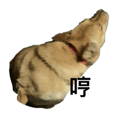 一些無聊又可愛的狗勾 第二彈