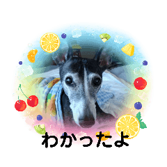 Cherry_20220601102919