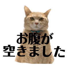 sayuri_20220601115847