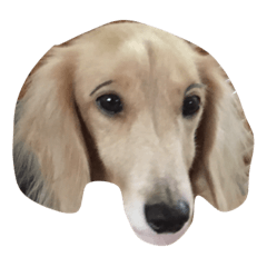beerBobby
