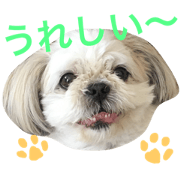 ChobiTaun