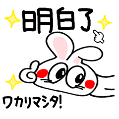 Taiwan. Happy rabbit reaction.