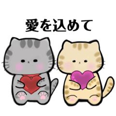 Tome-chan, a Sabatra cat, child-rearing