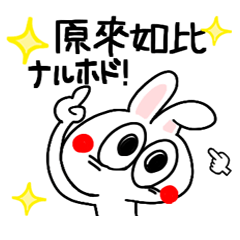 Hong Kong S.A.R.. Happy rabbit reaction.