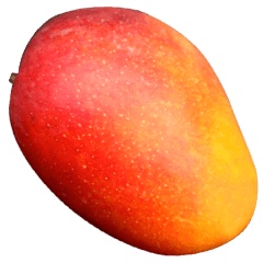 Jessie-25-Big-Mango