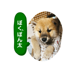 nozomi_20220601192759