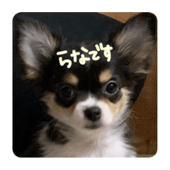 hiyori_20220601224111