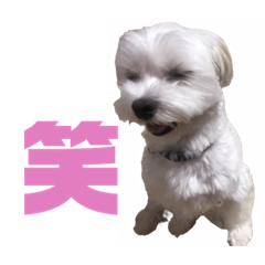 rina_20220601171017