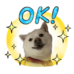 nozomi_20220601211858