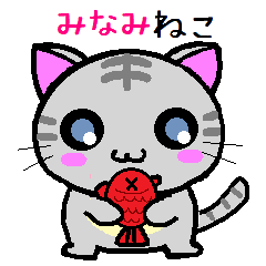 Minami cat