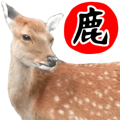Friends of the zoo of the deer