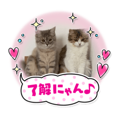 akari_20220601225603