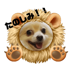 naococo_20220602001605