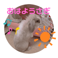 Kchan_20220602055535