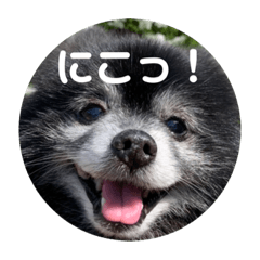 Aoi_20220602102727