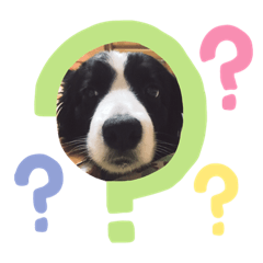 我是誰我在哪裡？