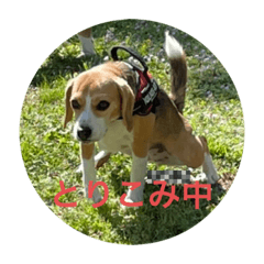 yokko_20220602073926