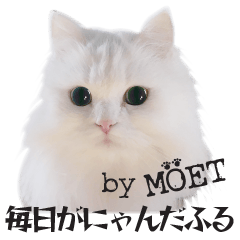 Every day is Nyanderful! by MOET(Romaji)