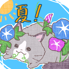 enjoy summer cat