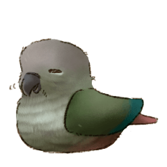 Green-cheeked parakeet Sticker
