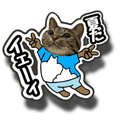 michiko_20220602093730