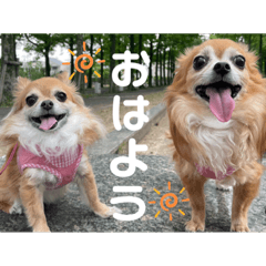 ayumi_20220602094557