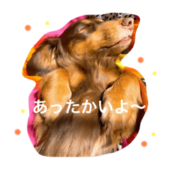 misa_20220602143620