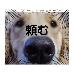 Hana_20220602150811