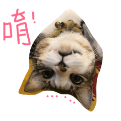 點點生活區