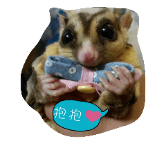 BoLe`Bao's Life