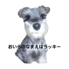 rina_20220602161420