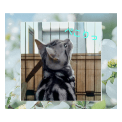 suzu_20220602201705
