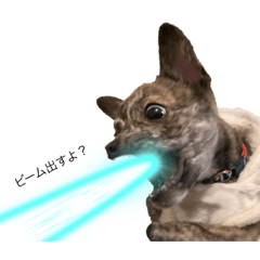 arisa_20220602225620