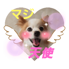 yukari_20220602233529