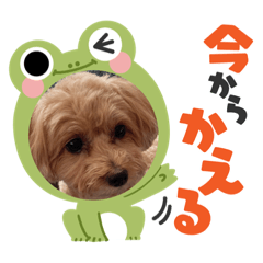 yuka_20220602170538