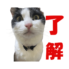 Etsushi_20220603035102