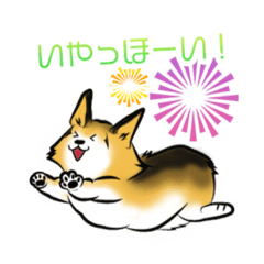 Welsh Corgi  ryu