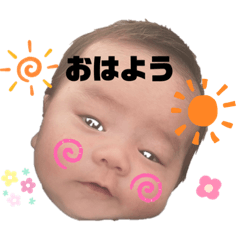 yayoi_20220602222903