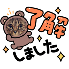 yun_20220603015716