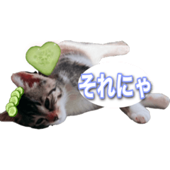BLAZE_20220531155635