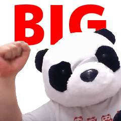 Panda-sensei's prayer for success