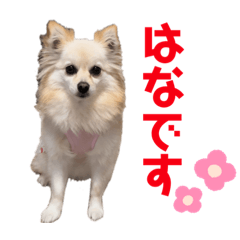 rina_20220602220730
