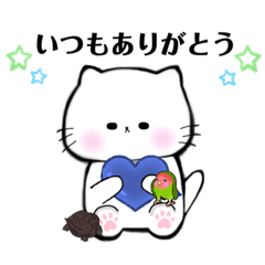 Shiratama-kun, a white cat, work stamp