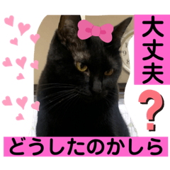 sayuri_20220603152248