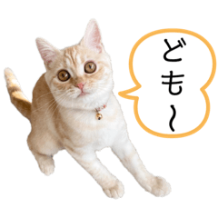 hana_20220603161108