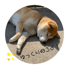 akiko_20220603pm1619